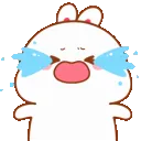 cry