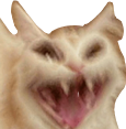 MS_kjsd Discord emoji