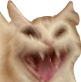 GW_kjsd