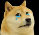 SMC_Doge_sad Discord Emoji