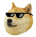 SMC_Doge_thug
