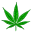 leaf1