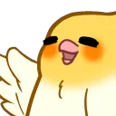 birbwave