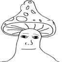 shroom