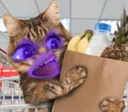 catwantsfood Discord Emoji