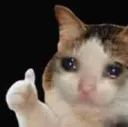 Catcry catcry Discord Emoji