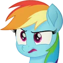 RainbowDashWhat
