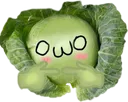aecabbageowo aecabbageowo