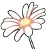 P2UsummerfestivalDaisy