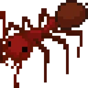Ant