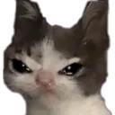 CatBoomerLloron_retrasados Discord Emoji