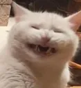 ew