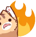 nkoPanic