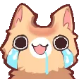 nkoBonkcry