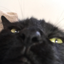 imposterissussy Discord emoji