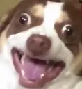 AAAAAAA