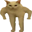 angy