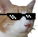 Swag Cat swagcat Discord Emoji