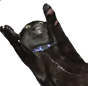 kovuwhoo