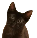 kovustare