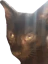 kovuglare