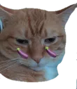 Milostare