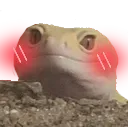 uwuuwu