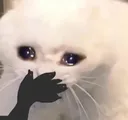 sad sad