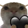 Cat Heart catheart Discord Emoji