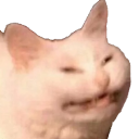 disgustedcat Discord emoji