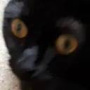 What