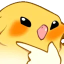 birbwavy