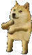 dogge_dance