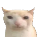 Cat1 cat1 Discord Emoji