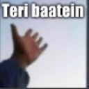 WF_TeriBatein