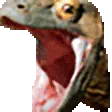 KomodoLeave