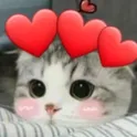 Zzzzz_Queenuu