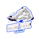 AnewYorkStorm