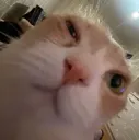 fffgsgsgshsshhshshsshhs