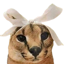 floppa3 Discord emoji