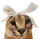 floppa3