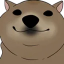 helo helo