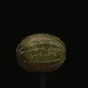 _explodingwatermelon