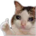 Okcat okcat Discord Emoji