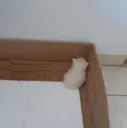 cornerkitty