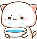 catCry