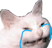 catcry Discord emoji