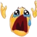 NOO