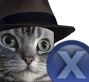doubtkitty