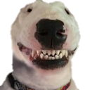 dog_smile Discord emoji